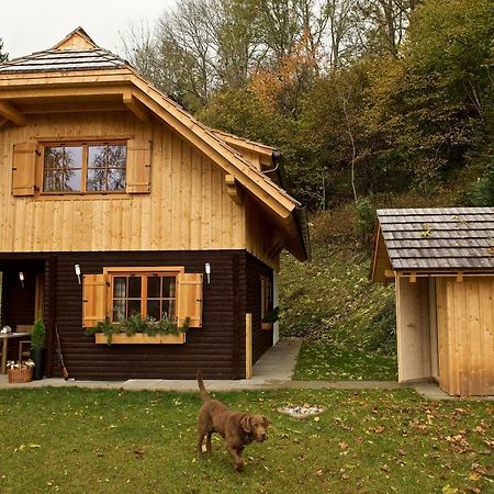 Rainbachhuette-Waldgut Granig Villa Glodnitz Ngoại thất bức ảnh