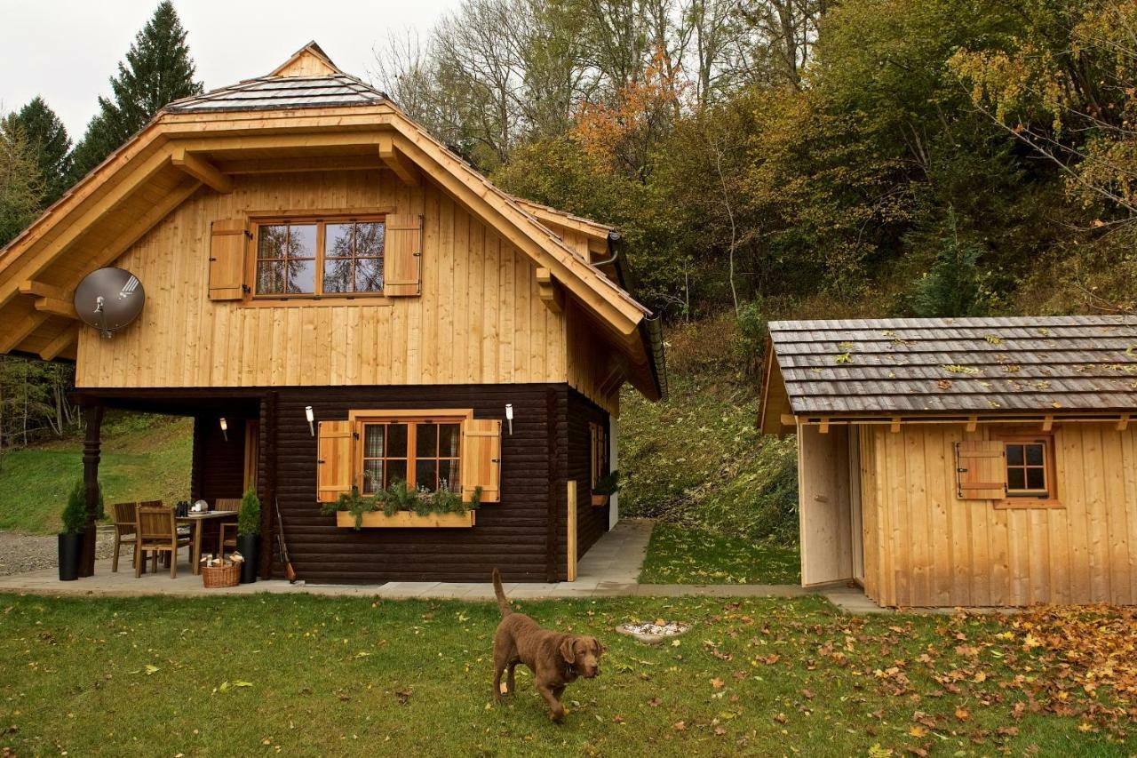Rainbachhuette-Waldgut Granig Villa Glodnitz Ngoại thất bức ảnh